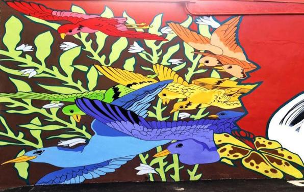 13516489_889413147870549_8025873351751966477_n