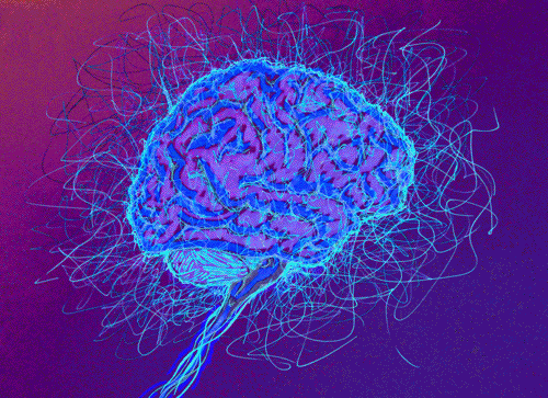 ONE Album Vol 6: WJBW Blogging&nbsp;Follies