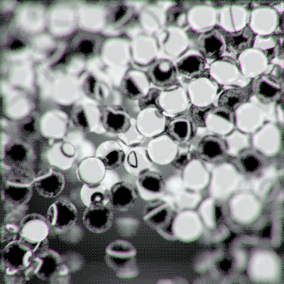 DYNAMIC EDITION: WJBW Blogging&nbsp;Follies